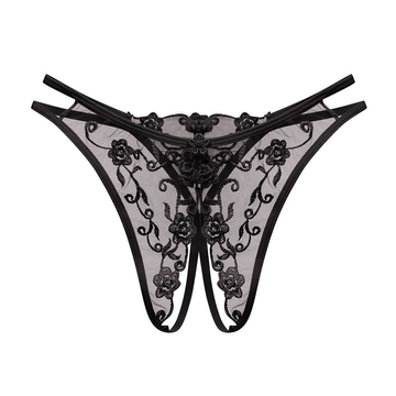 Women's Sexy Bikini Panties with Lace / Transparent Embroidery Briefs / Ladies Mesh Lingerie - EVE's SECRETS